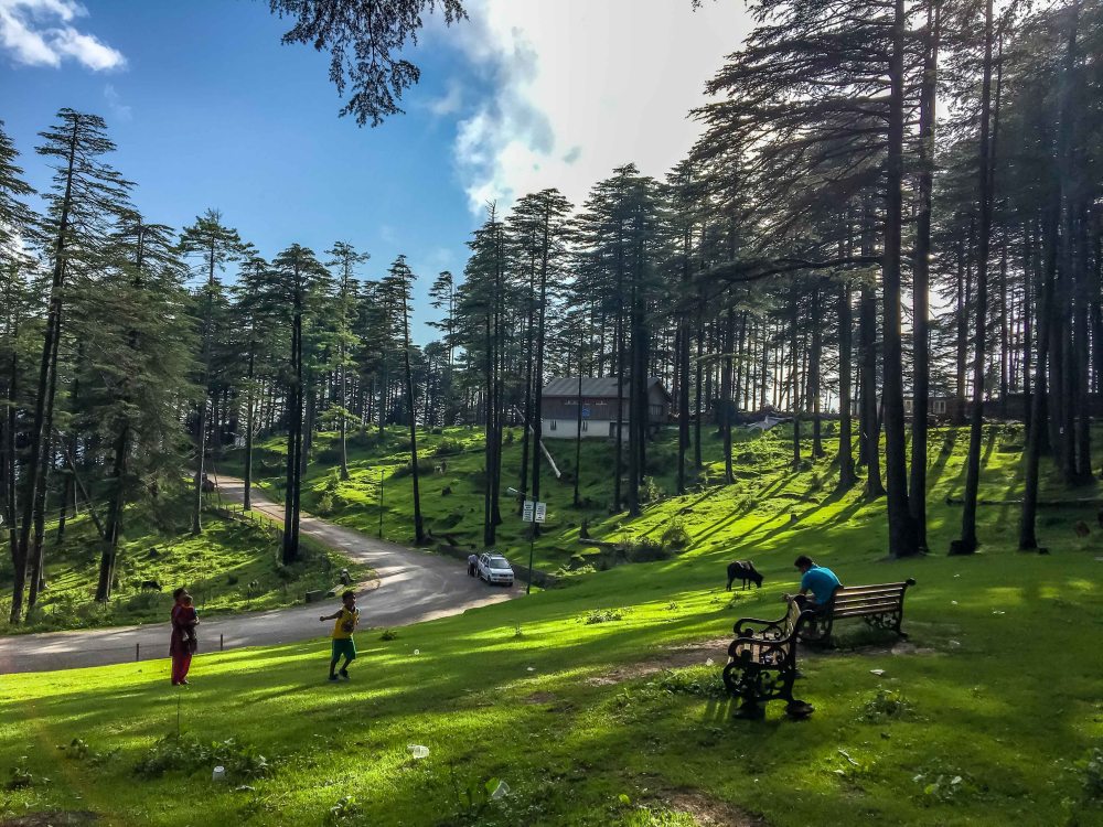 Patnitop