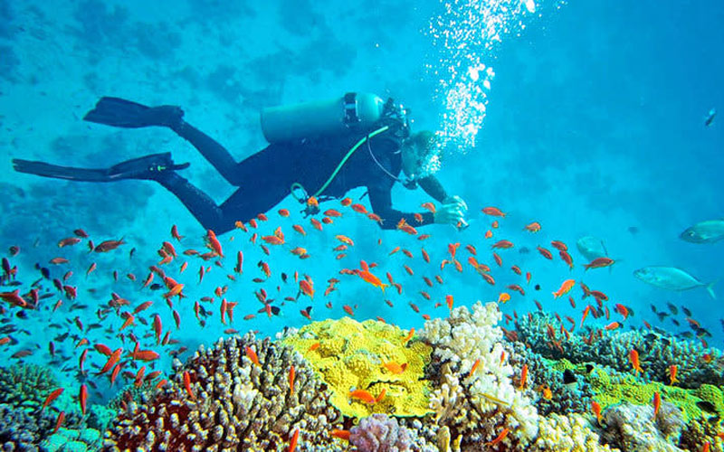 North-Bay-Island scuba