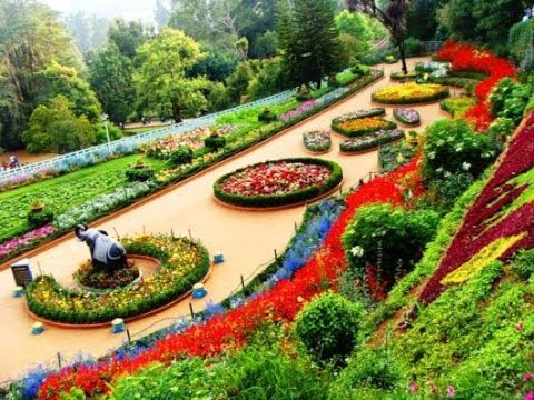 ooty 1