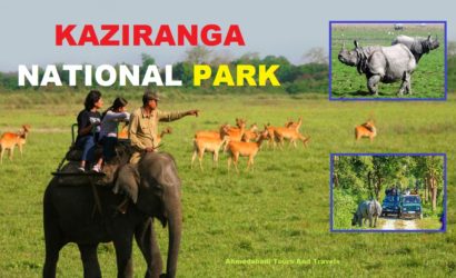 Kaziranga