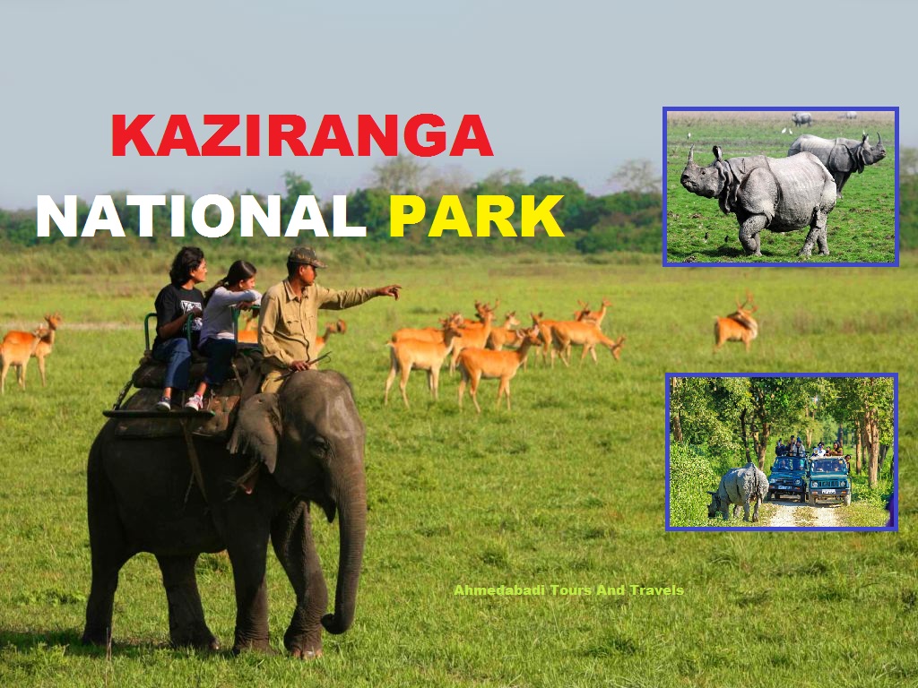 Kaziranga